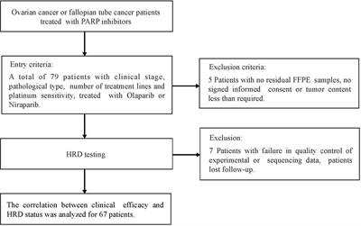 Homologous Recombination Deficiency Associated With Response to Poly (ADP-ribose) Polymerase Inhibitors in Ovarian Cancer Patients: The First Real-World Evidence From China